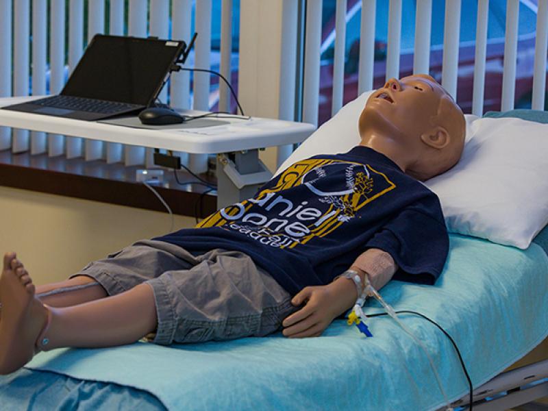 Sim Center dummy